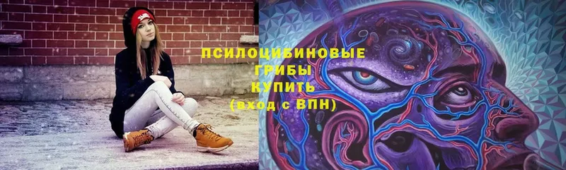 Псилоцибиновые грибы Magic Shrooms  Кизел 